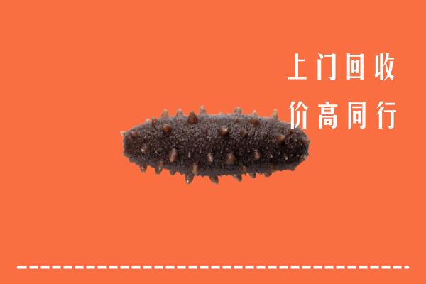 德州高价回收海参